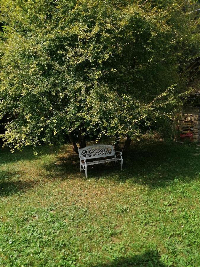 Cortemilia A Casa Di Anna Bed & Breakfast エクステリア 写真